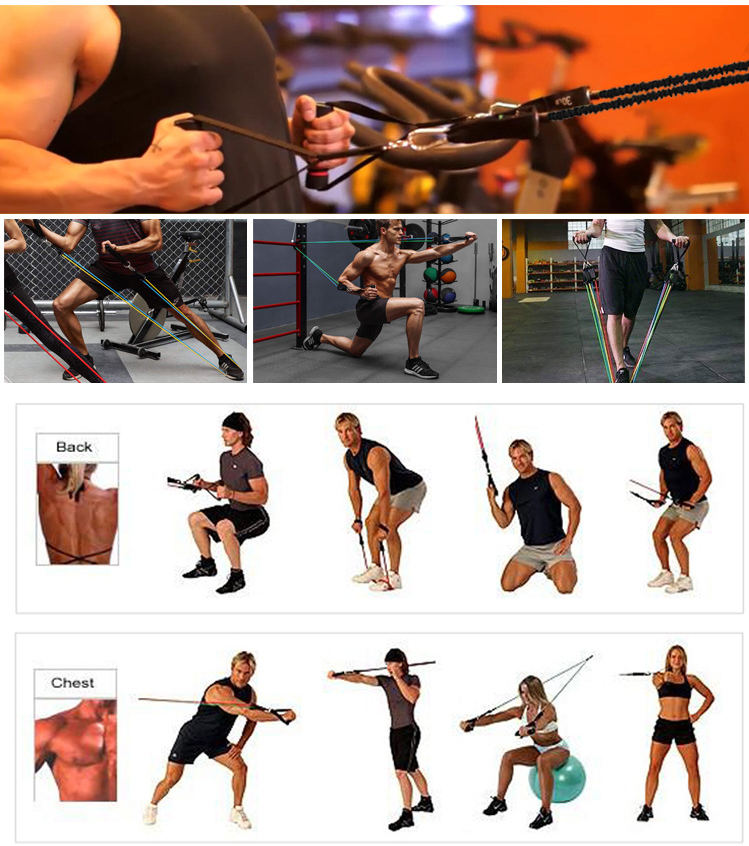 FitFlex Portable Fitness Rally